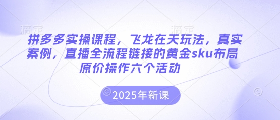 拼多多实操课程，飞龙在天玩法，真实案例，直播全流程链接的黄金sku布局原价操作六个活动-逍决共创终点站