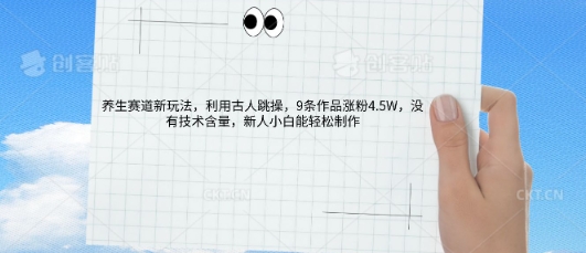 AI养生赛道新玩法，10条作品涨粉5.2W，操作简单，新人小白能轻松制作-逍决共创终点站