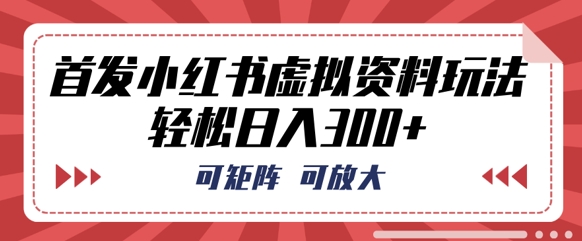 首发小红书虚拟资料玩法，可矩阵，可放大，轻松日入3张-逍决共创终点站