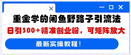 重金学的闲鱼野路子引流法，日引300+精准创业粉，可矩阵放大-逍决共创终点站