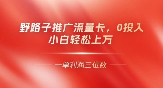 0门槛推广流量卡，一单收益上百，0投入，小白月入过W-逍决共创终点站